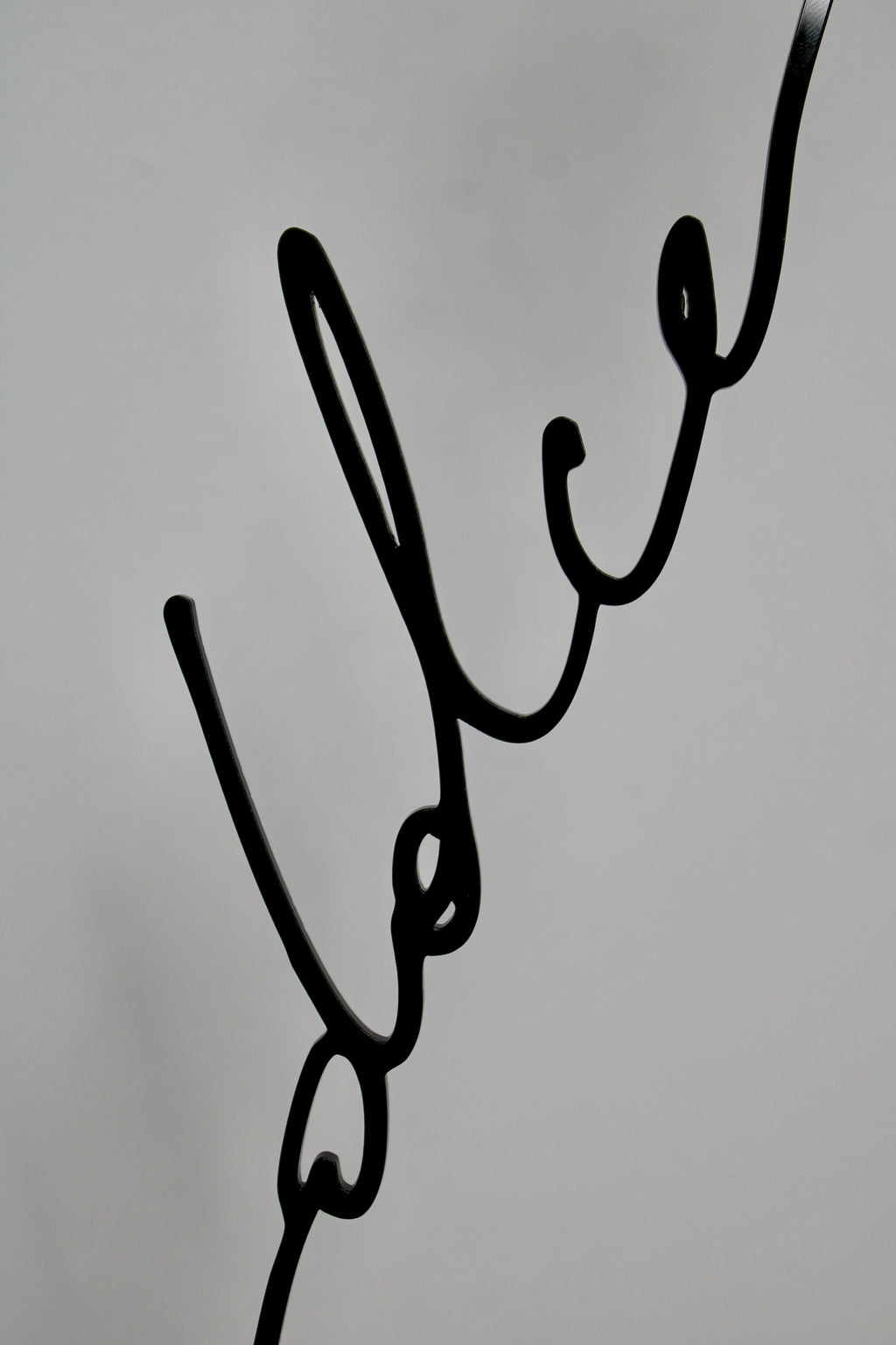 La dolce vita  (noir)