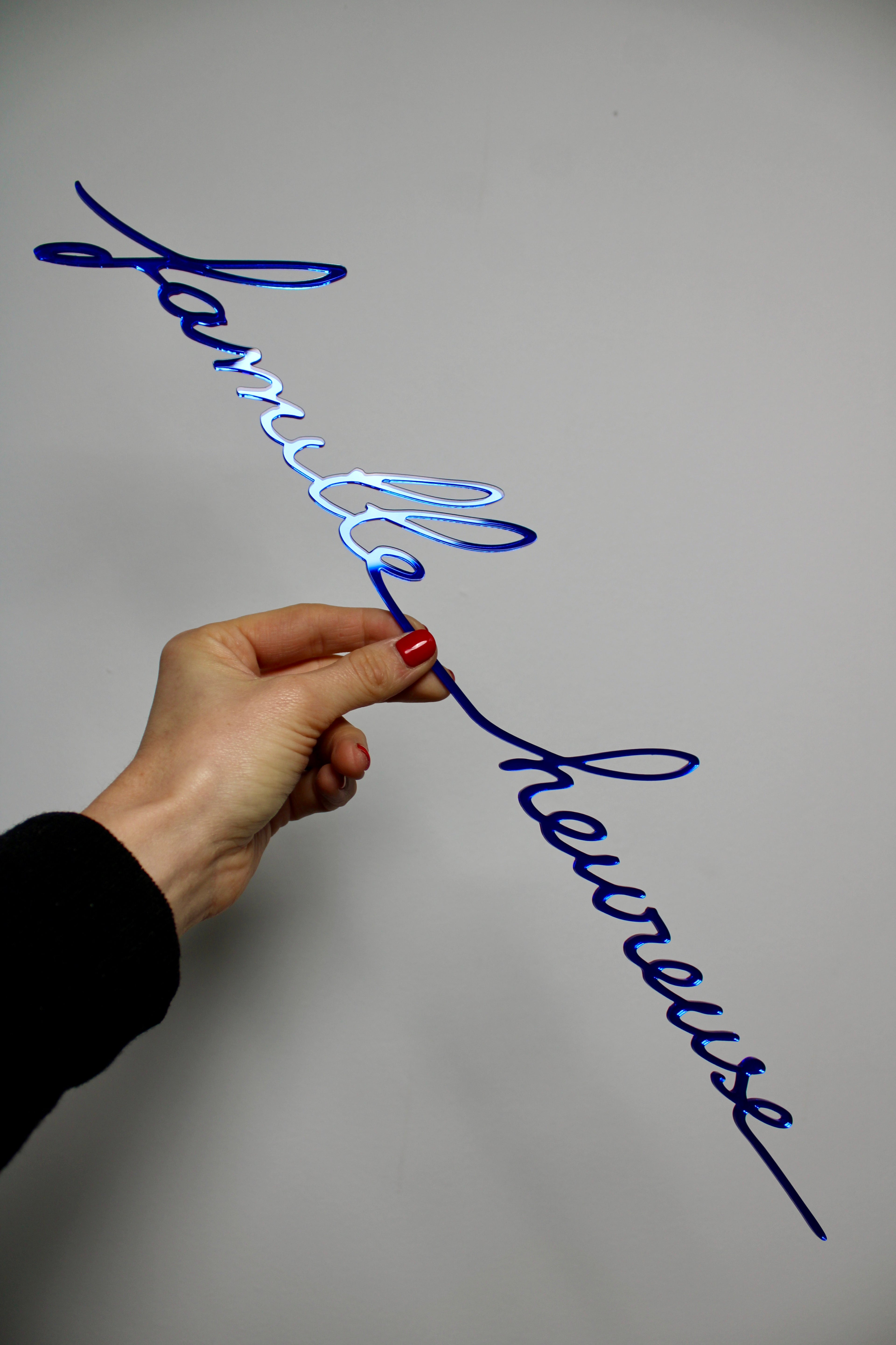 Famille heureuse (miroir bleu)