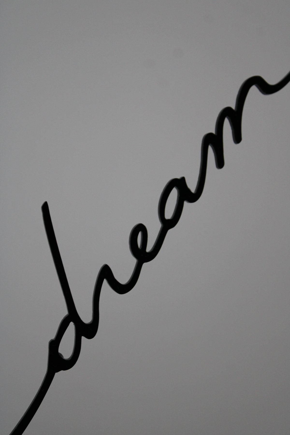Live your dream